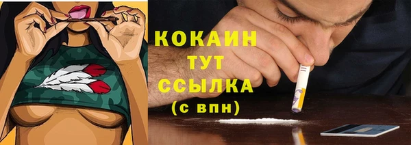 бошки Козельск