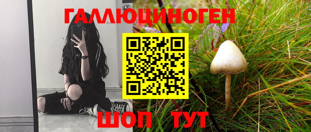 Псилоцибиновые грибы MAGIC MUSHROOMS  Вход с VPN  Армавир 